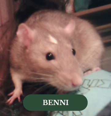 Benni