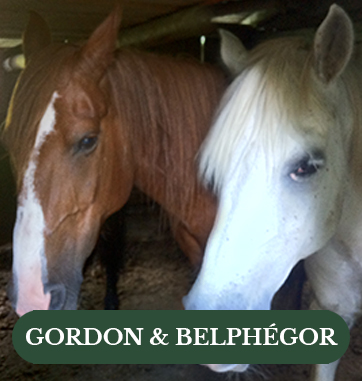 Gordon-&-Belphégor
