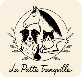 La-Patte-Tranquille