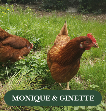 MONIQUE-&-GINETTE