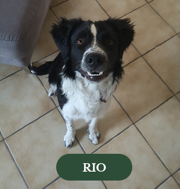 Rio
