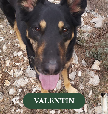 Valentin
