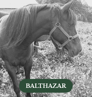 balthazar