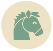 chevaux