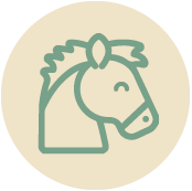 icone-cheval
