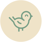 icone-oiseau