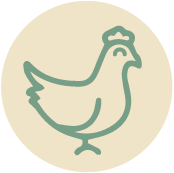 icone-poule