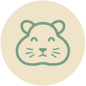 icone-rongeur