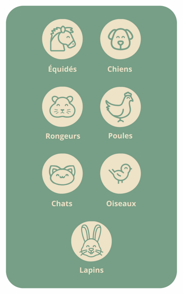 catégories-animaux